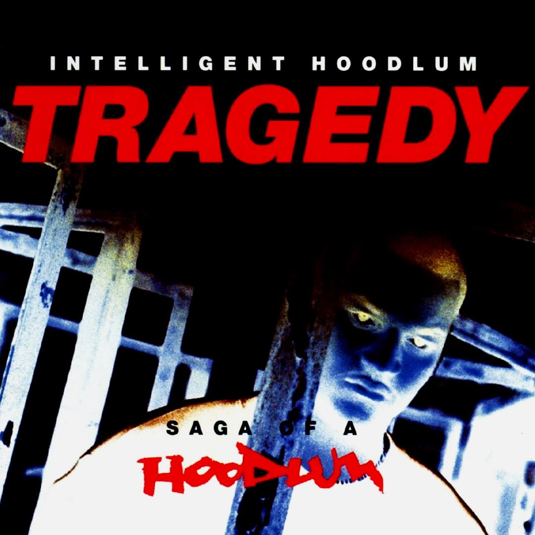 Intelligent Hoodlum 