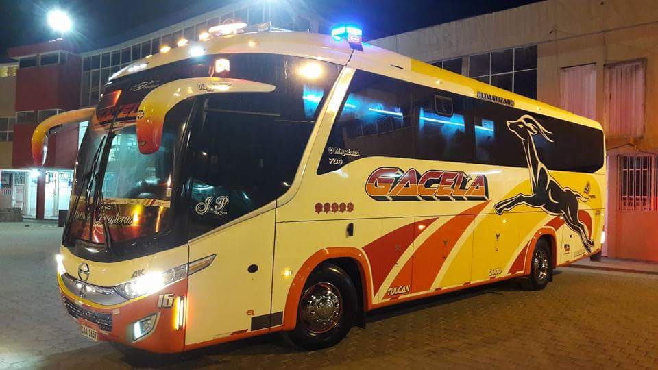 Gacela | Tulcán
