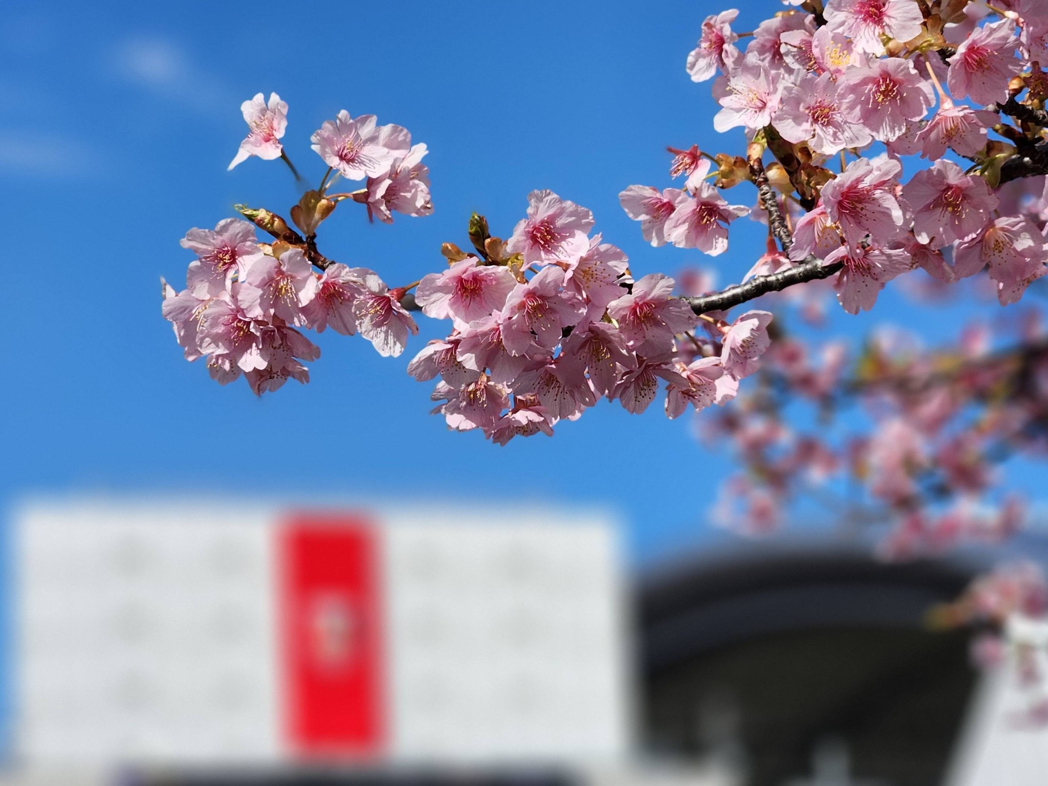 久しぶりの投稿です。 本日（2026/3/7）、埼玉スタジアム2002での 