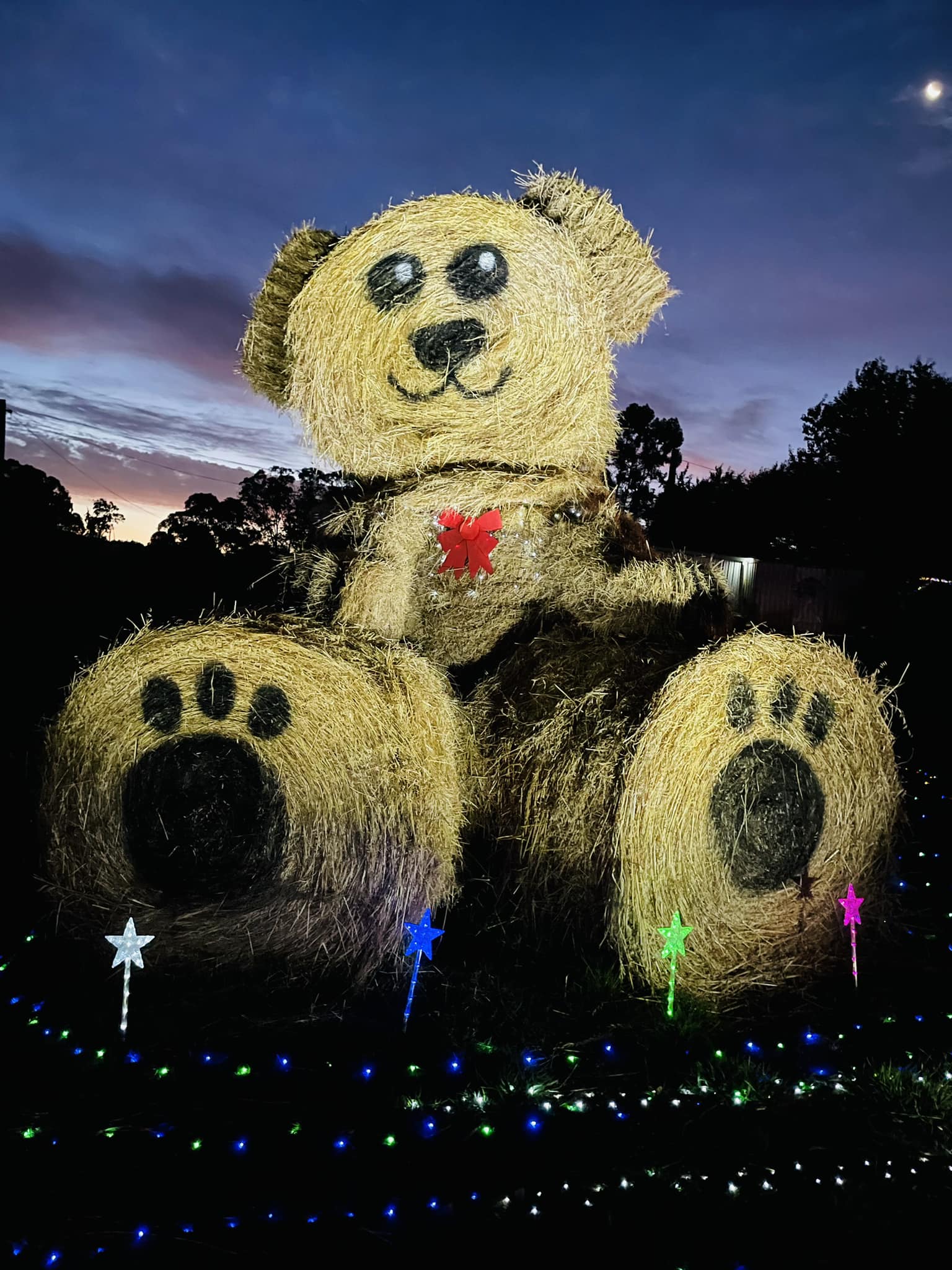 The 2025 Steiff Christmas Teddy bear ornaments are here 🎄 A