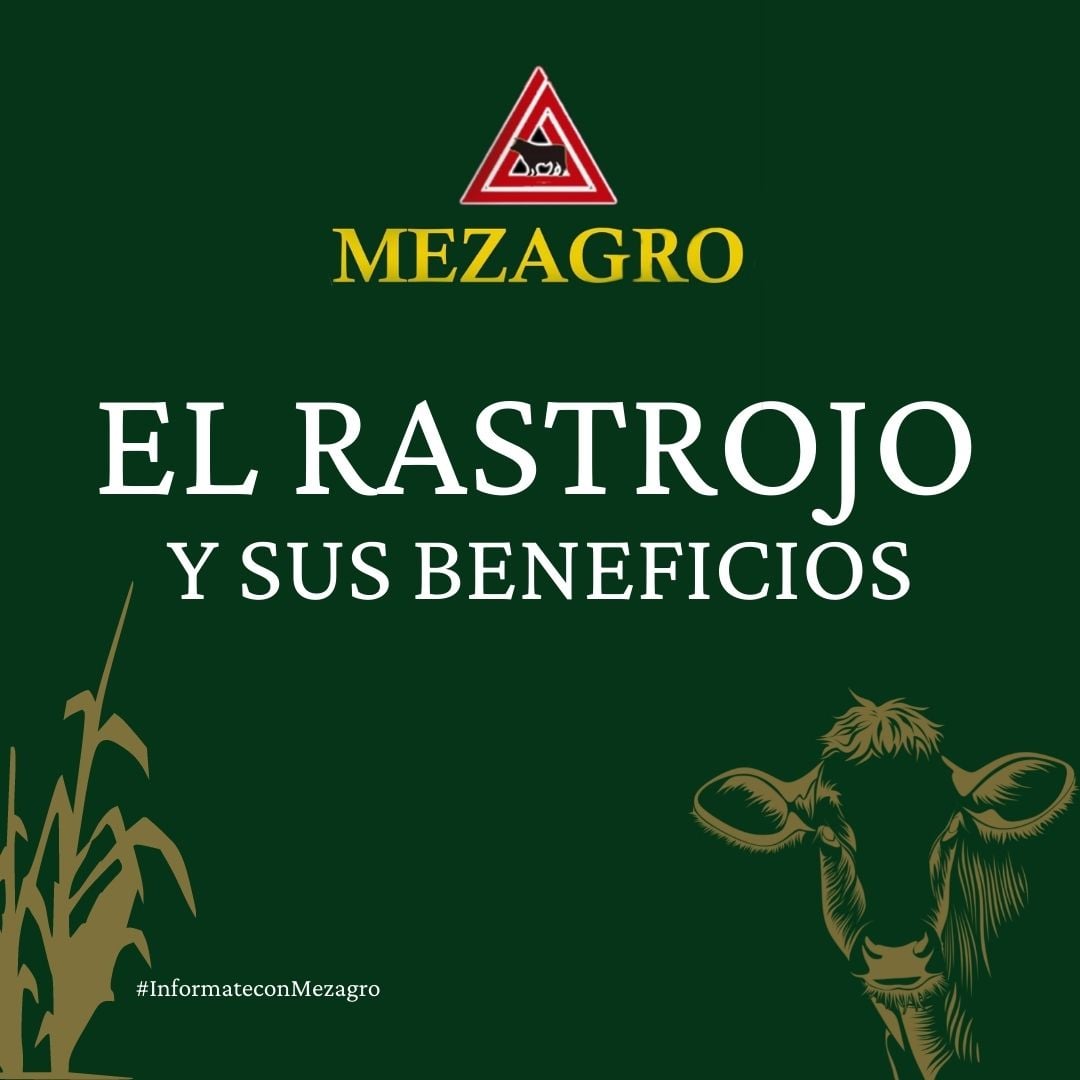 Mezagro | Cocula