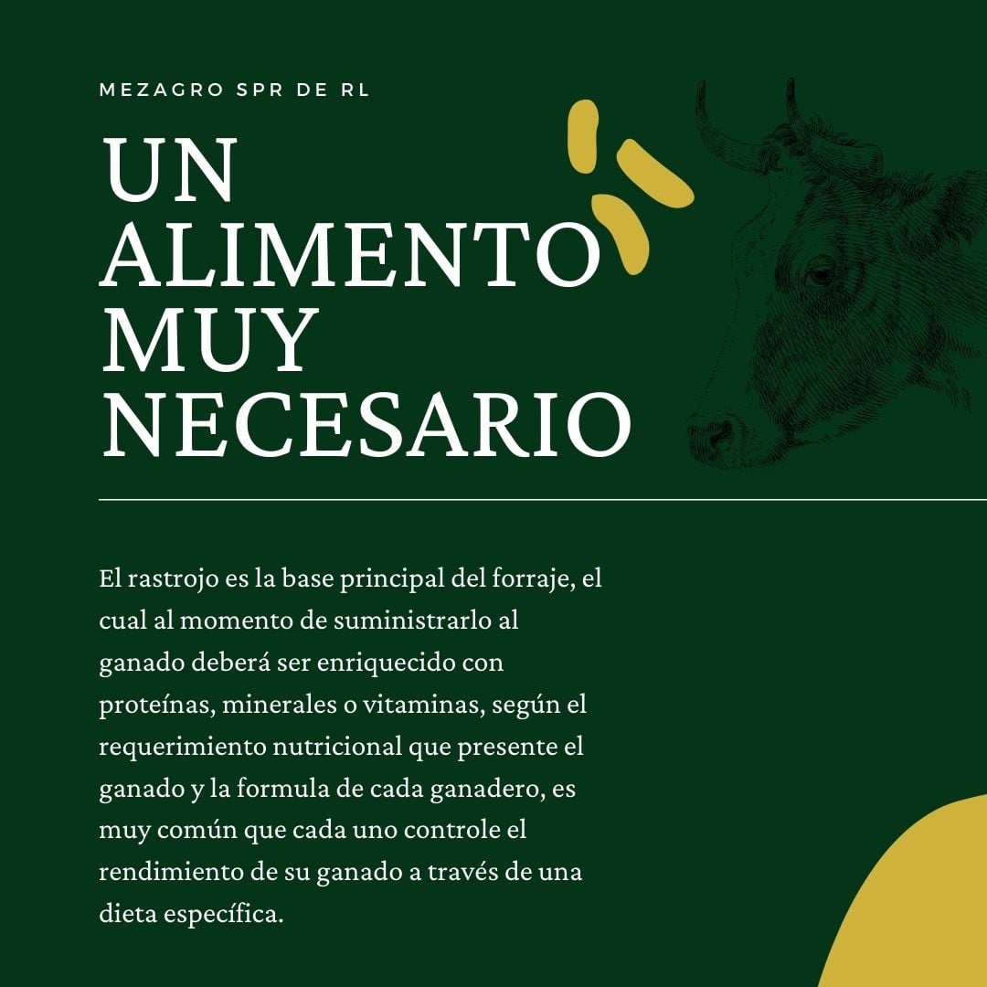 Mezagro | Cocula