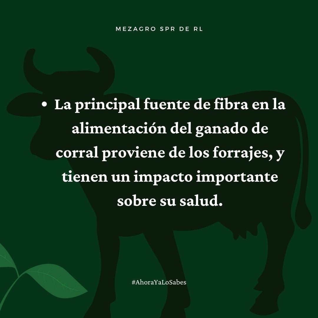 Mezagro | Cocula
