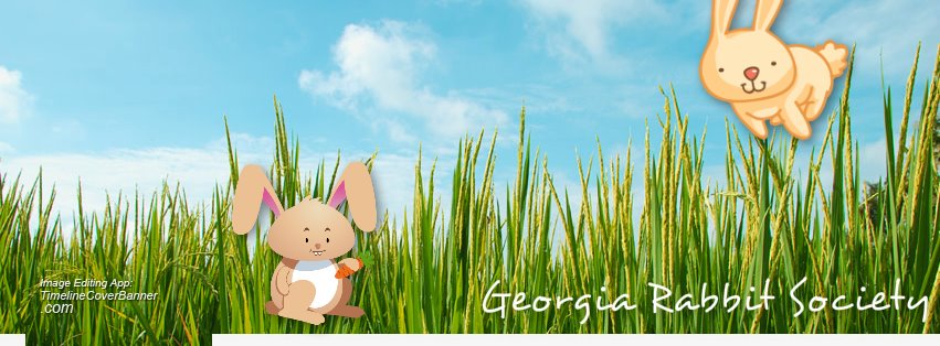 Georgia Rabbit Society | Facebook