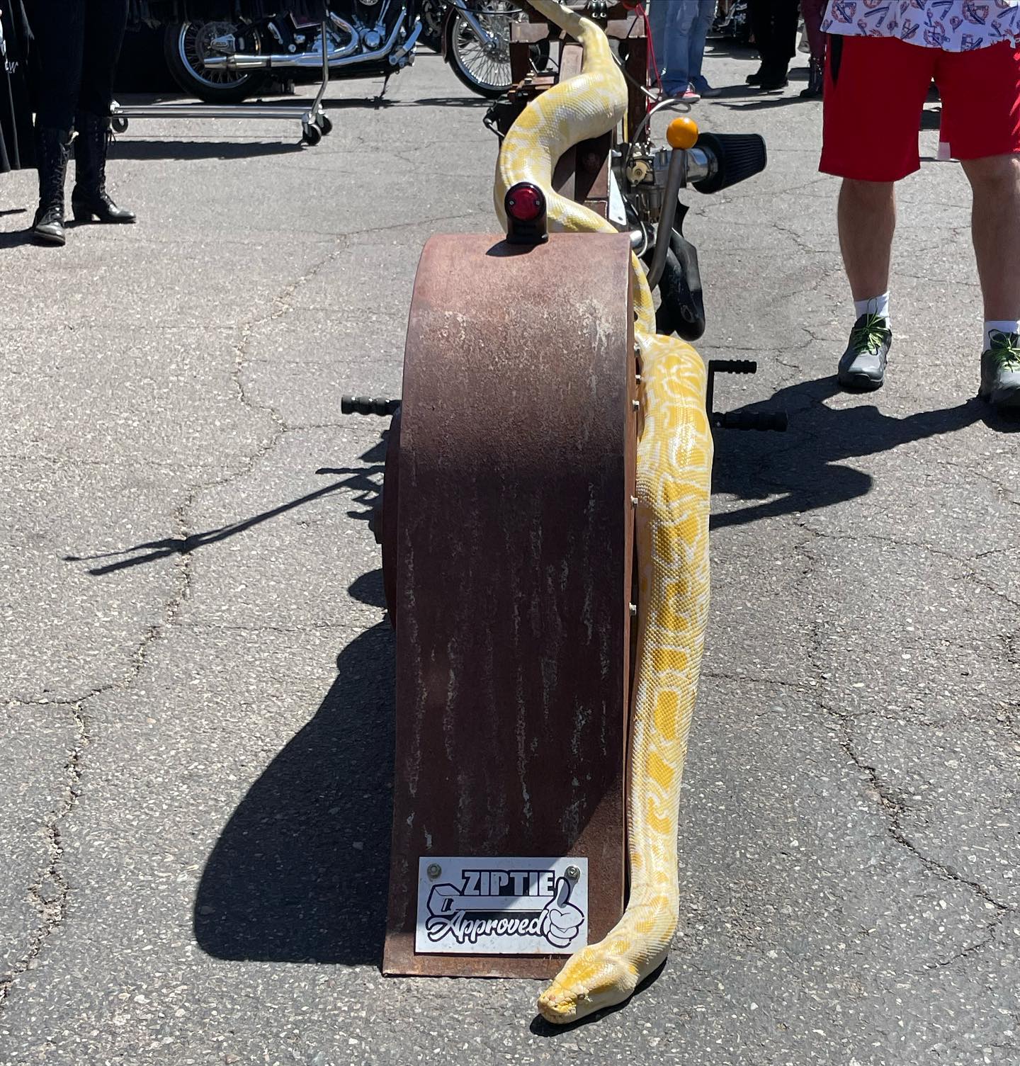 CycleDrag - YES or NO to bringing your python to a...