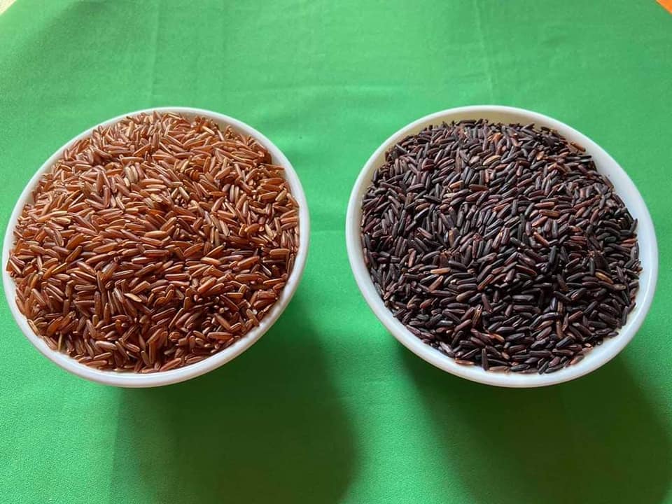 Myanmar Rice Supplier | Yangon