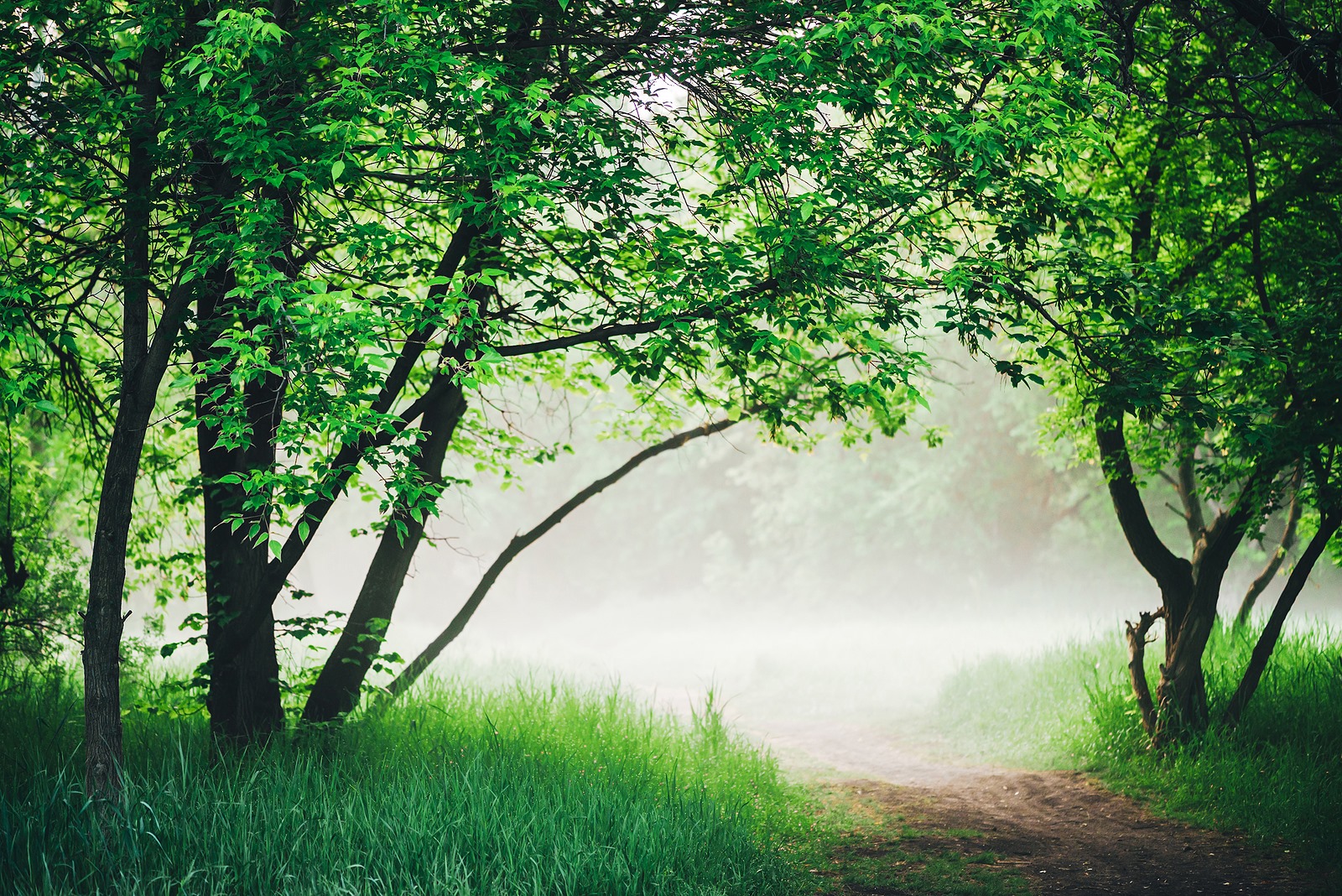 Path - Join Dr. Chelle For Coffee Break Thursday Your 15min Recharge ...