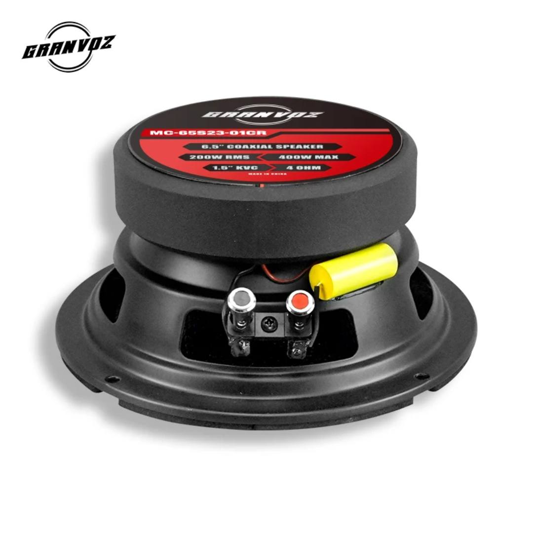 What amp to use with 300 watt speakers besides ZK-1002T?