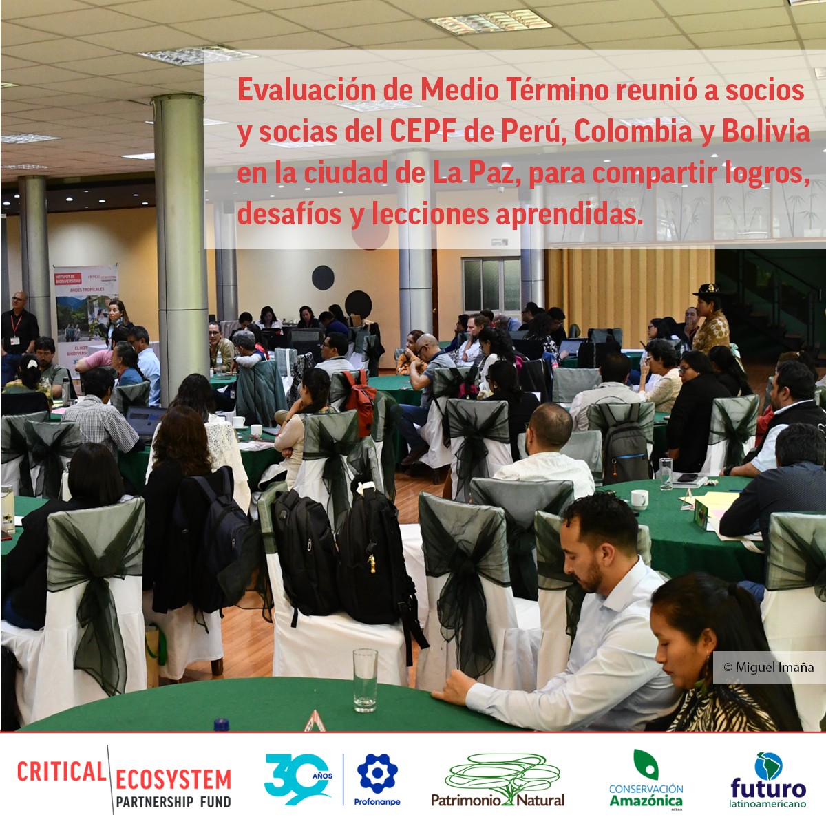 🙌 ¡Compartimos 8... - Hotspot Andes Tropicales - CEPF