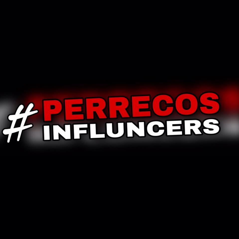 O Poze e o Japa tão virando patrimônio nacional 😂 | Perrecos Influencers