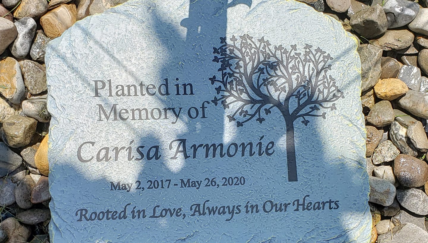 Carisa's Journey for a Diagnosis
