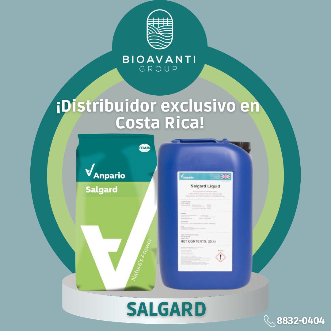 Bioavanti Group - ¡Bioavanti Group es el distribuidor...