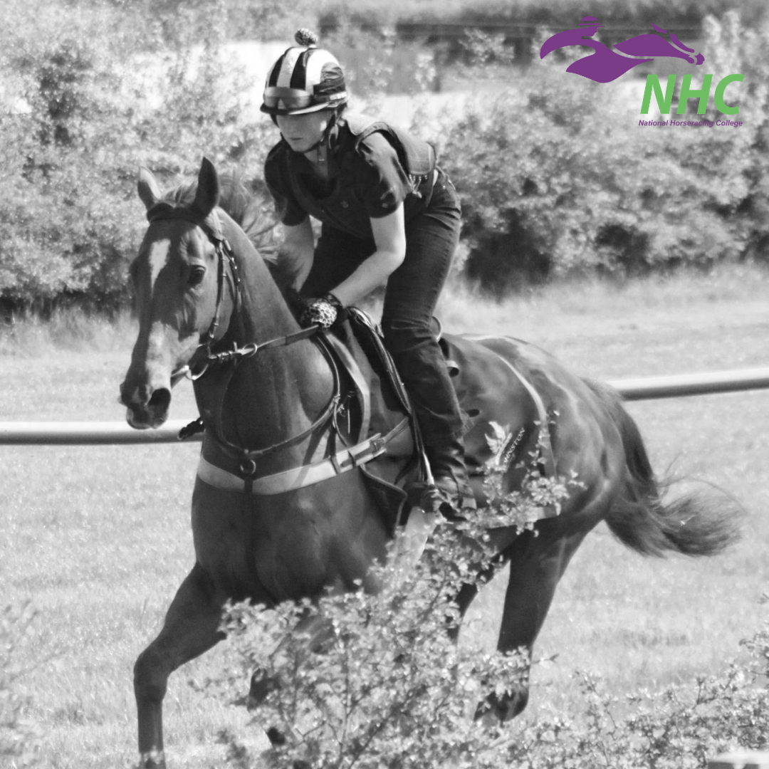 National - We were absolutely thrilled to open the Racing Post this ...