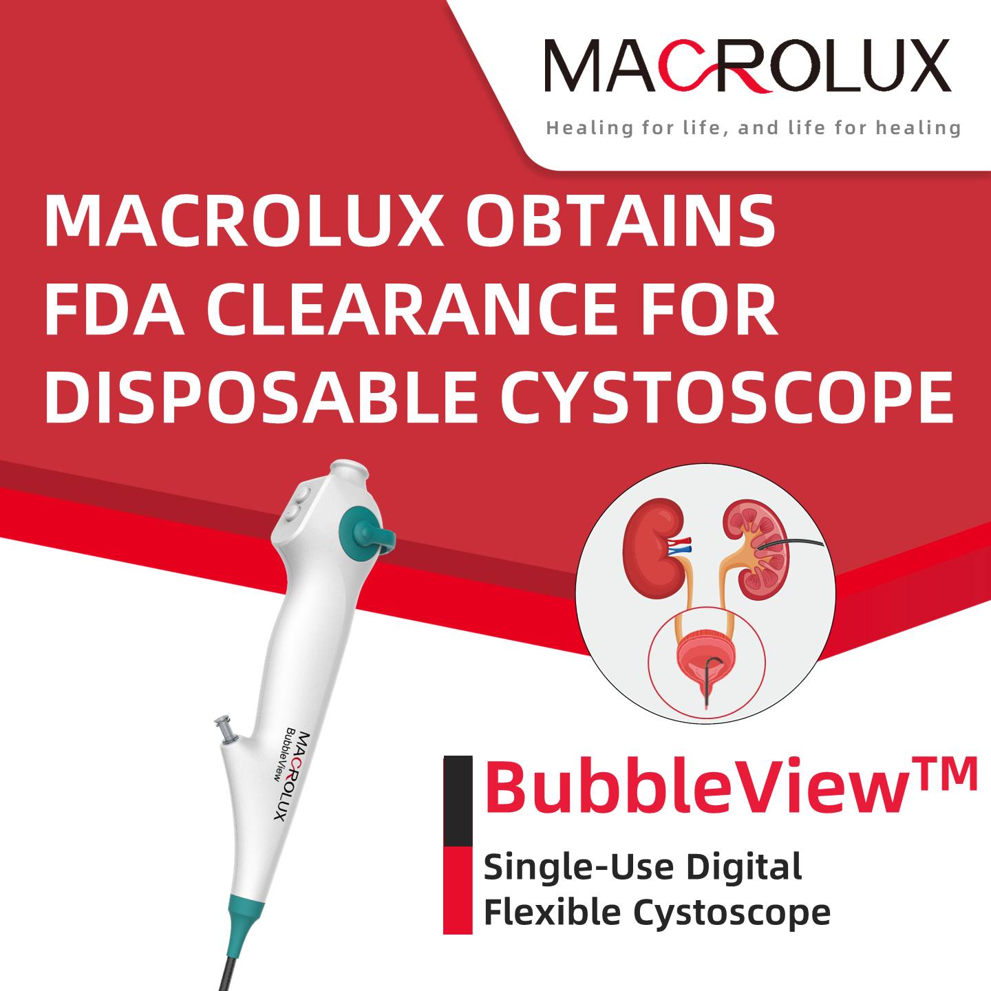 🎉Congratulations... - MacroLux Medical Technology Co., Ltd.
