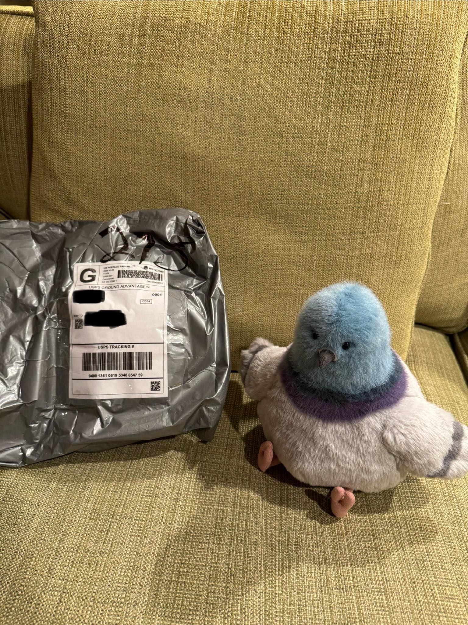 He's here and he's bringing the personality 🐦✨ The Jellycat
