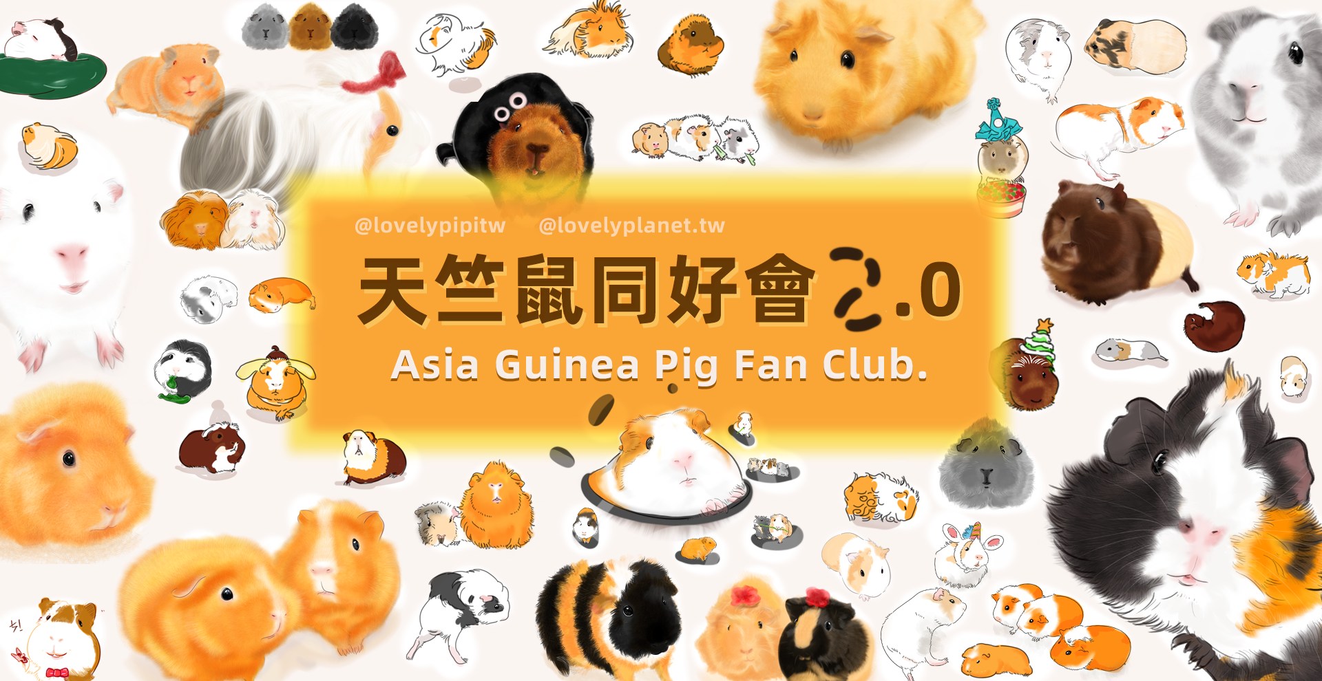 天竺鼠同好會2.0 * Asia Guinea Pigs Fan Club * | 這可能就是對豬仔仔最好的認可 | Facebook