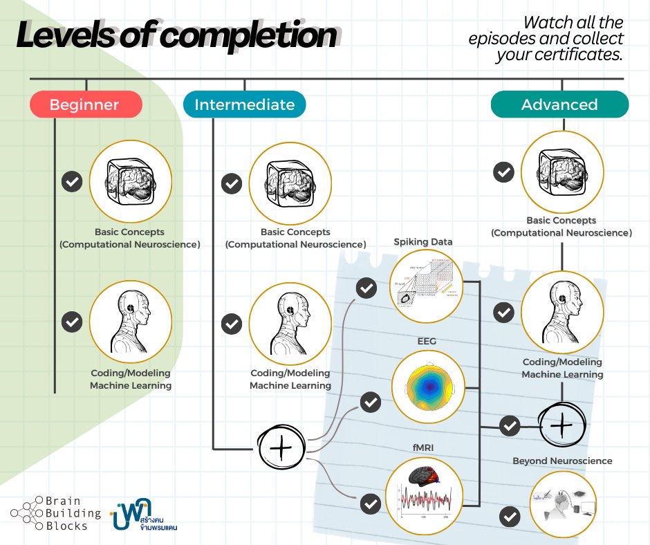 BrainCode101 - หลังจาก ดูวิดิโอต่างๆ ของ Brain Building...
