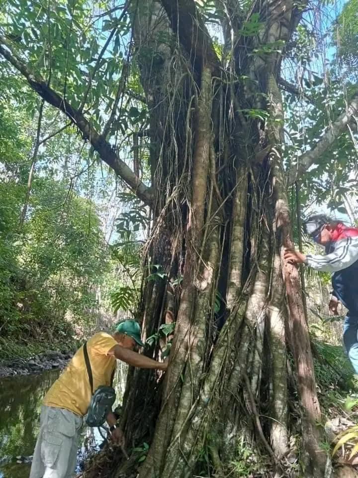 Pabida - TAN AWA‼️ MGA PANGALAN UG PICTURE SA MGA TAWO...