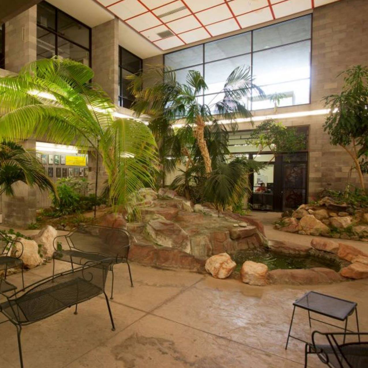 UNLV School of Life... - UNLV School of Life Sciences
