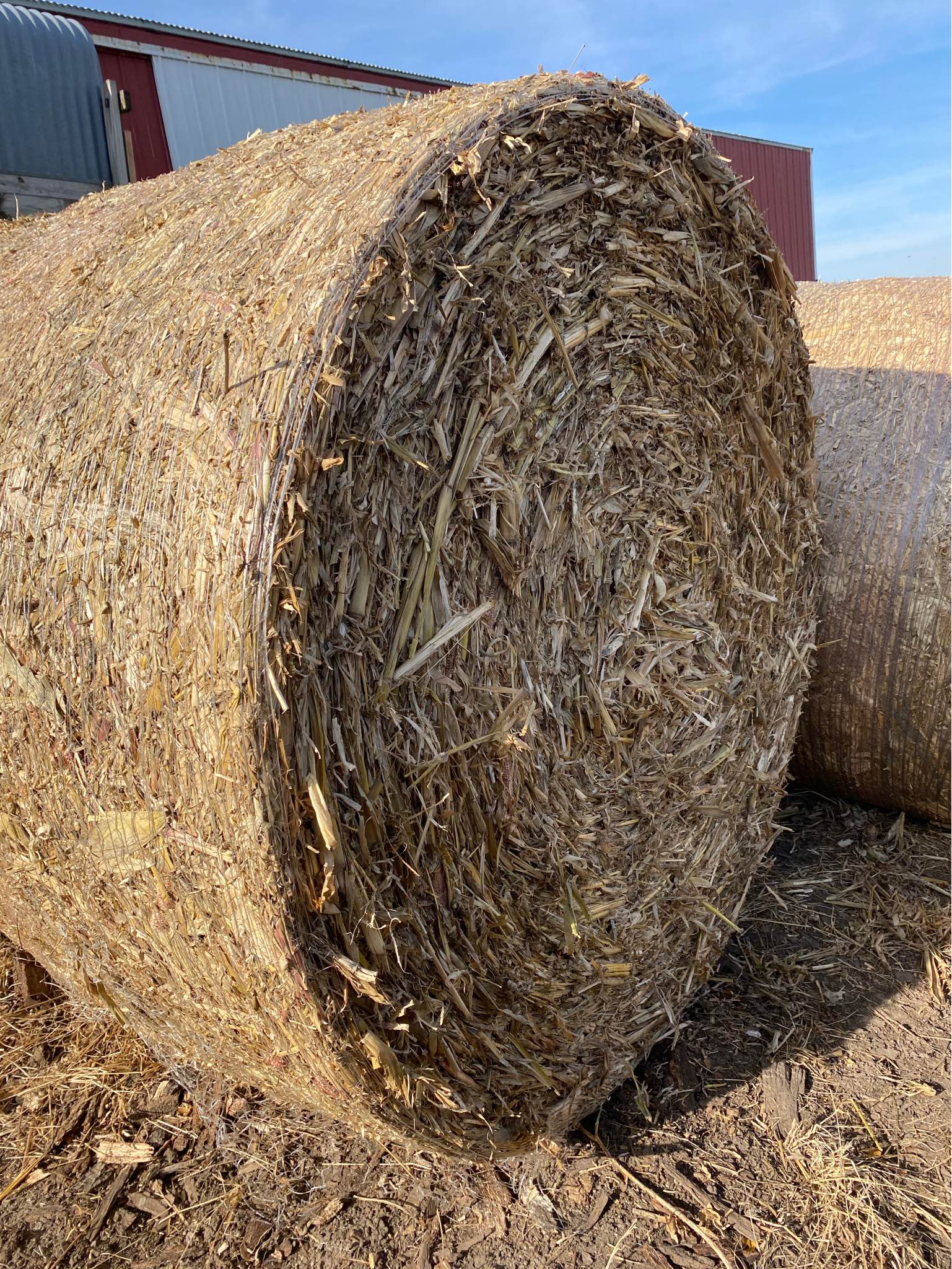 Corn fodder bales large 5x6 - Food - Mineral Point, Wisconsin ...