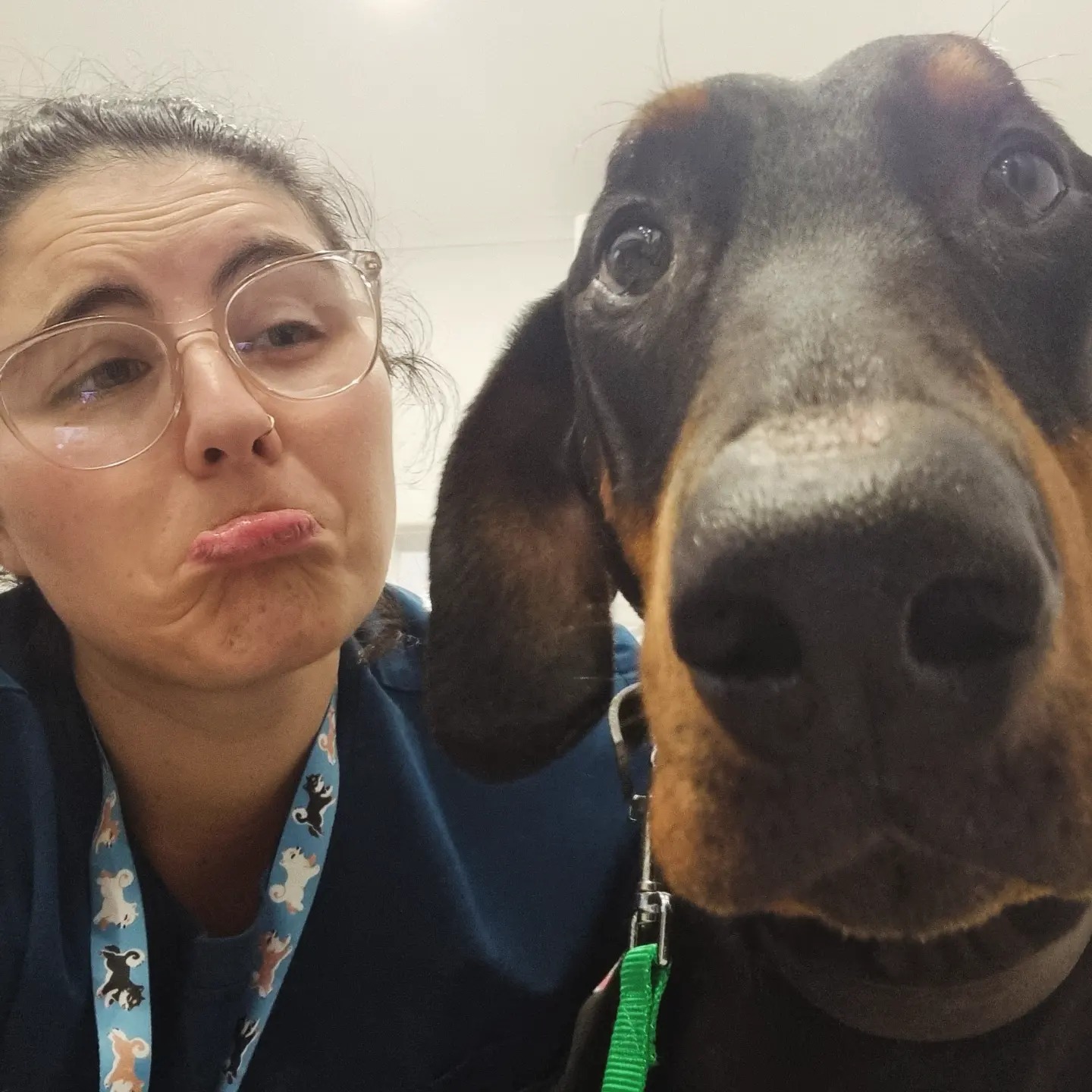 Sad faces on for Baloo today who... - Dr. Michelle Rassool