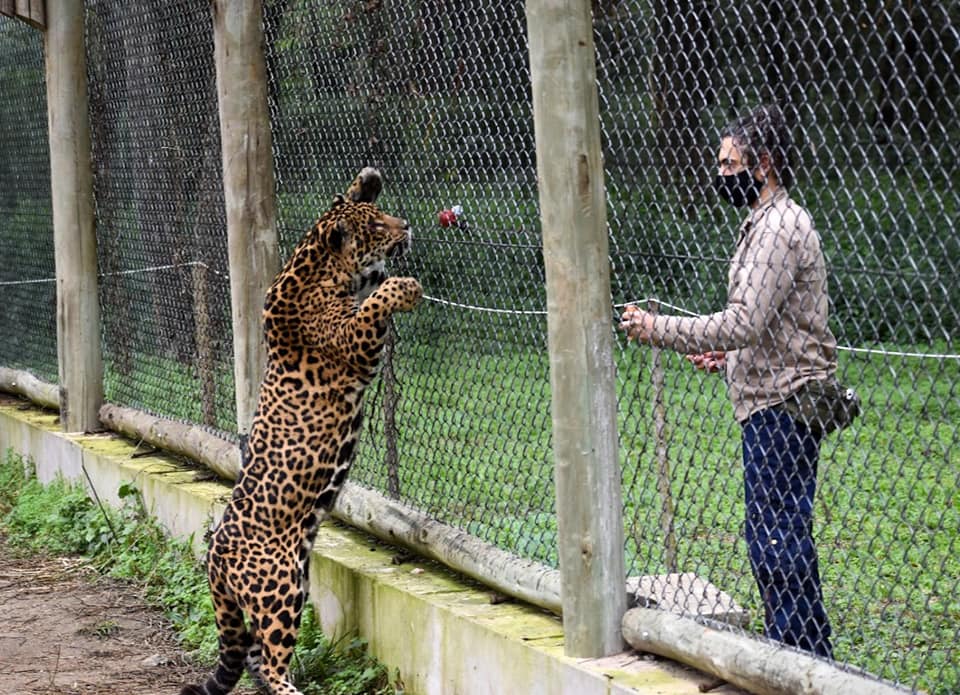 Muy orgullosa de un gran... - Proactive Animal Consulting