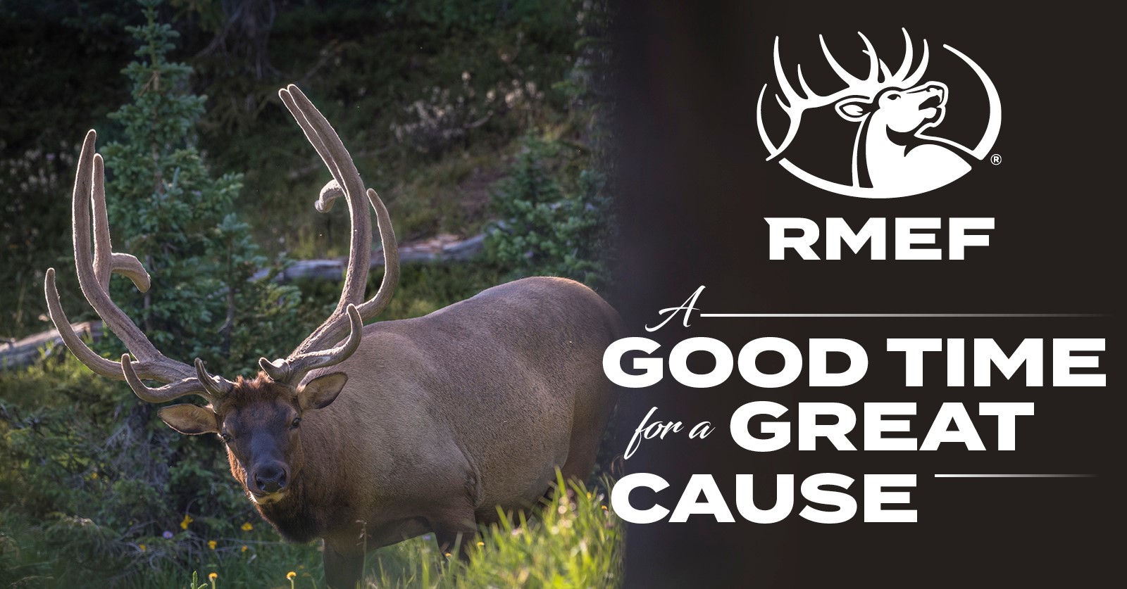 Pennsylvania Rocky Mountain Elk Foundation | Pittsburgh PA