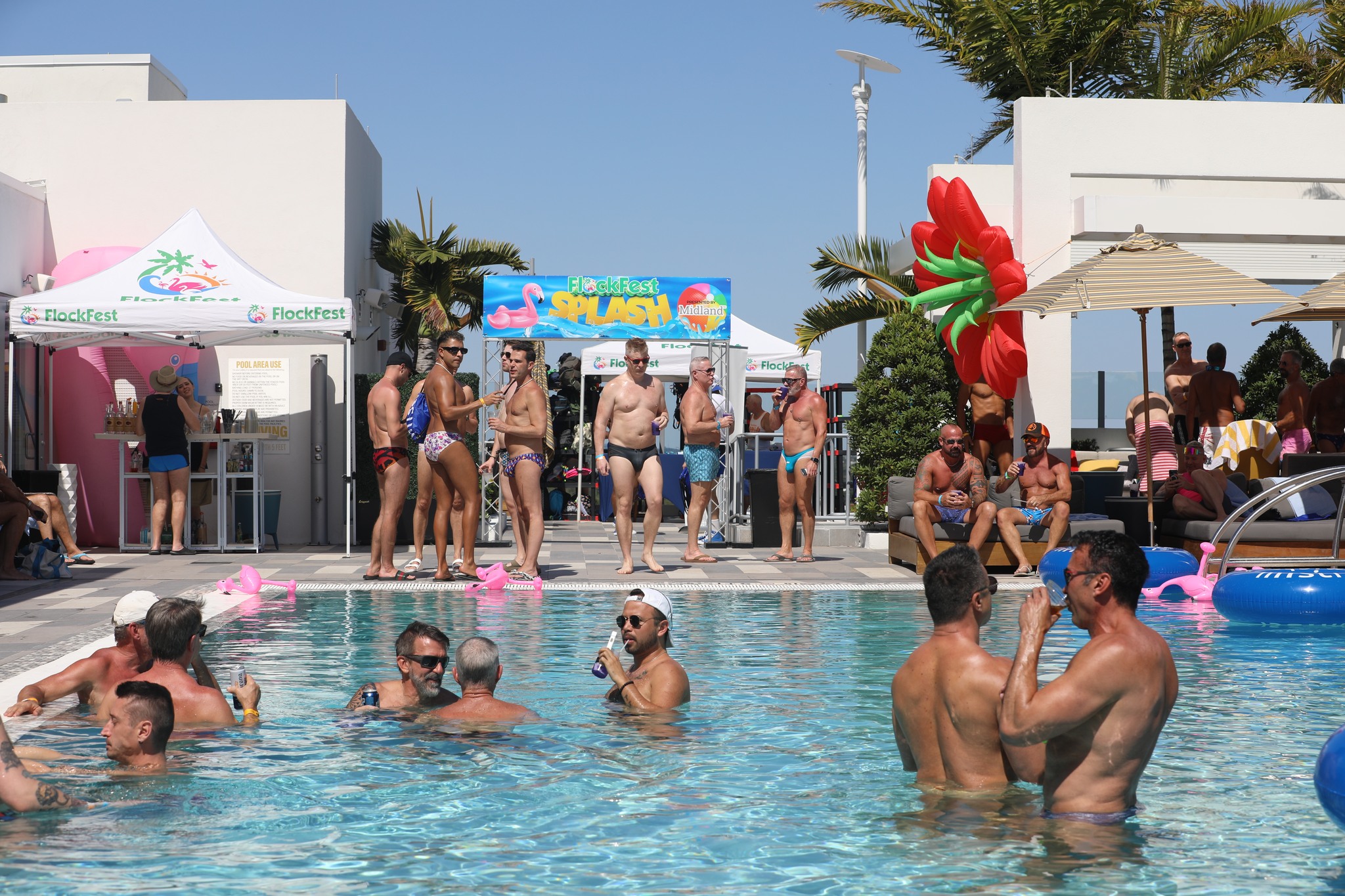Flockfest Splash Pool Parties