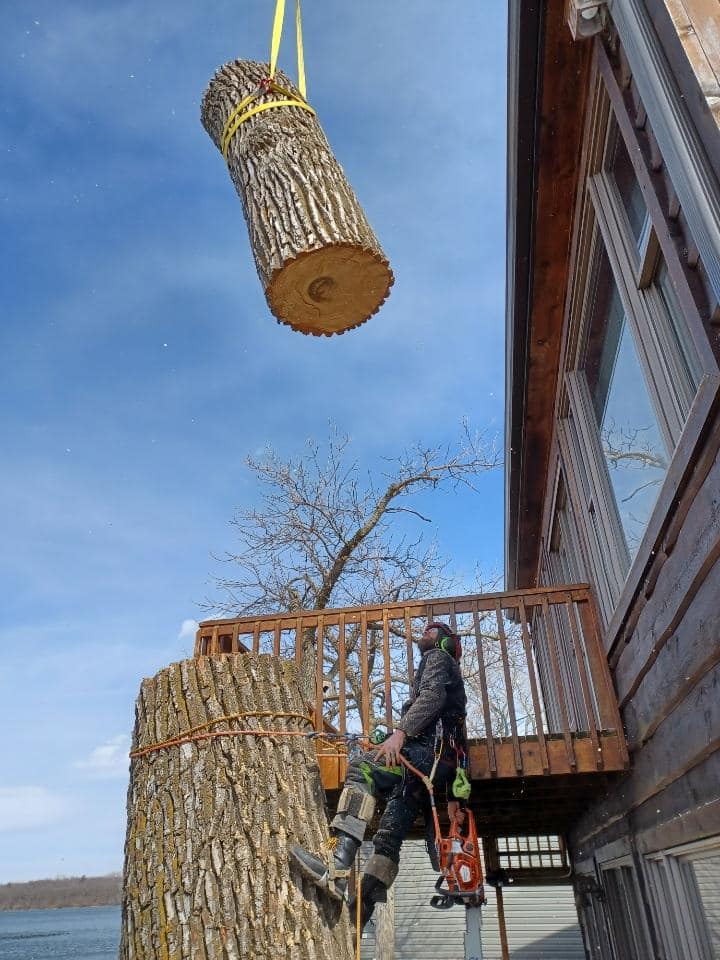 CODIT Tree Care | Okoboji IA