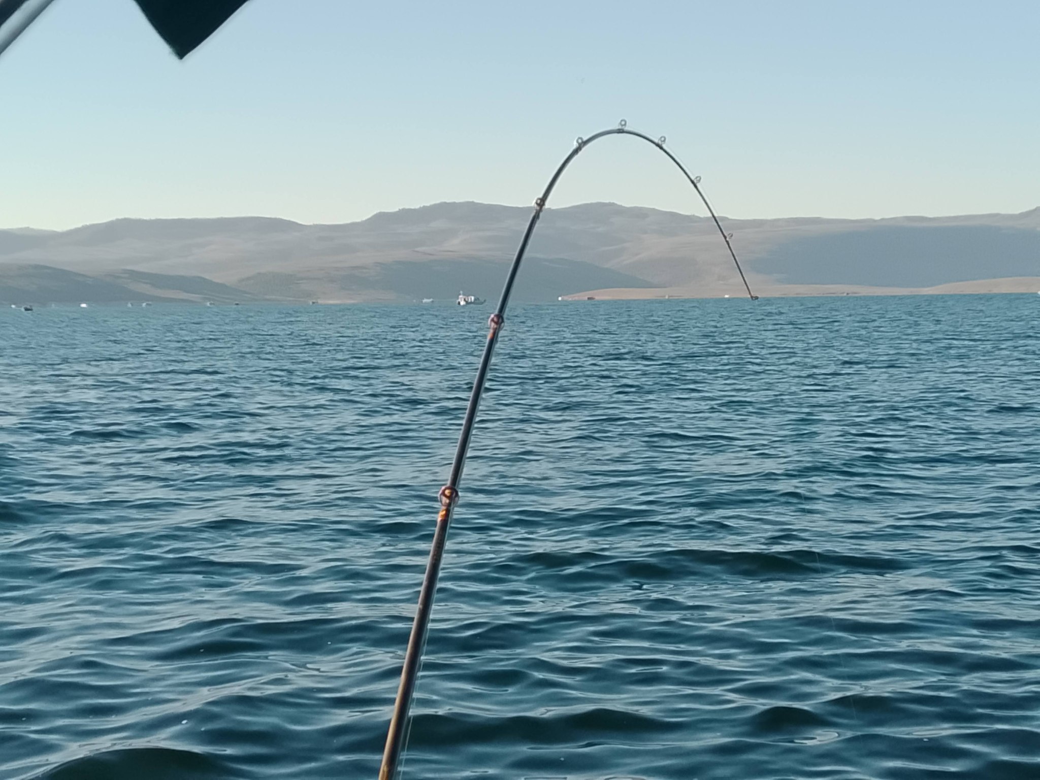 alaska river trout sea-run spinning reel bubble daiwa or shimano Diwa Fishing Reels for Saltwater Freshwater 3000 4000 5000 6000 7000 Spools Ultra Smooth Ultralight Powerful Bass Carp Gear Stainless Ball Bearings Metal Body Ice Fishing Reels(3000) : Sports & Outdoors and sensitivity Spinning for Trout with Lures,