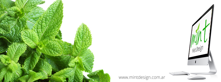 Mint - Web Design