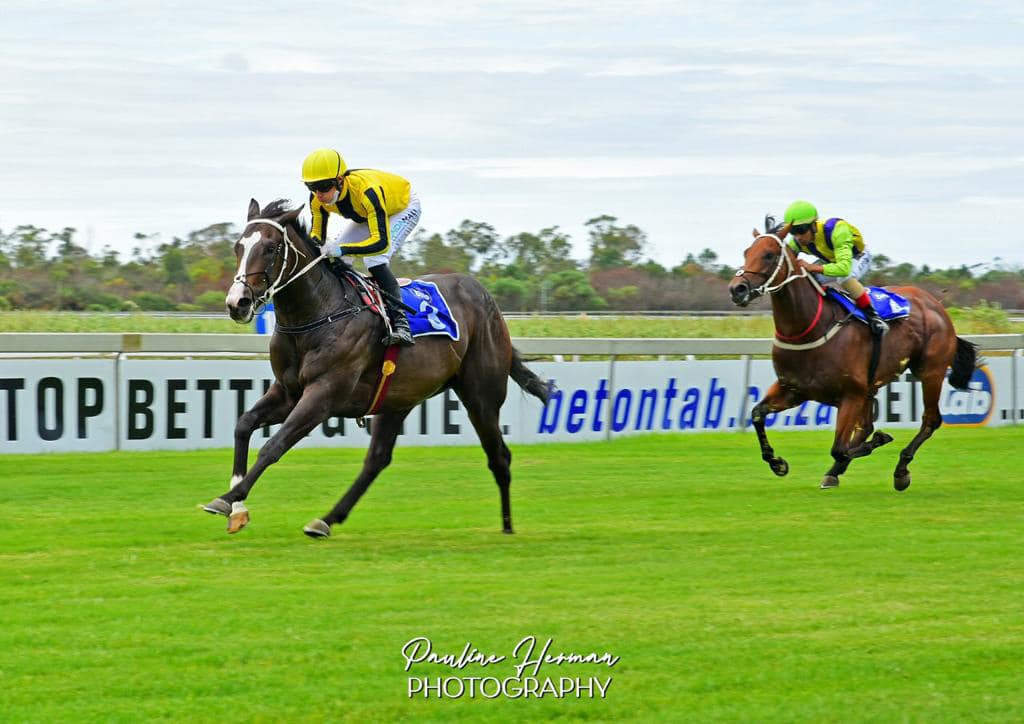 Great day out at Fairview... - Gavin Smith Racing Stables