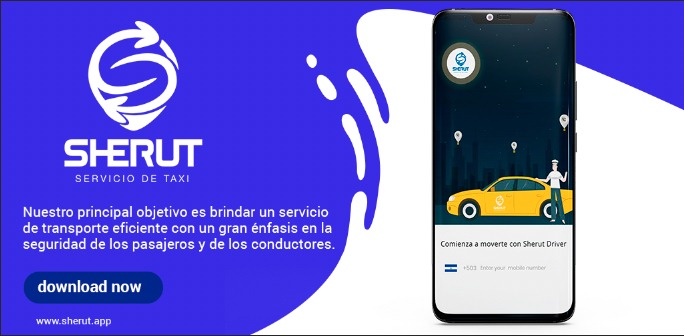 Sherut Taxi