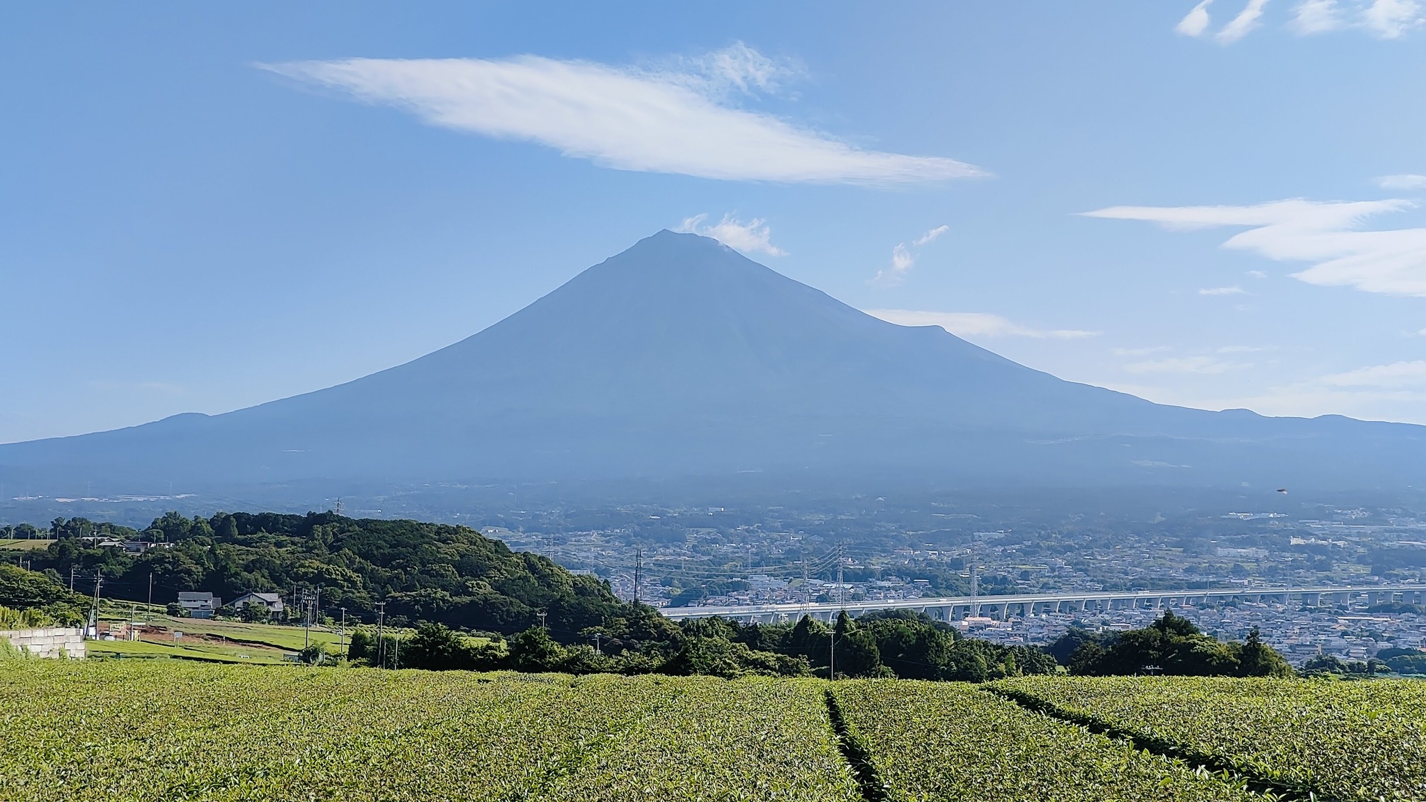 夏の富士山