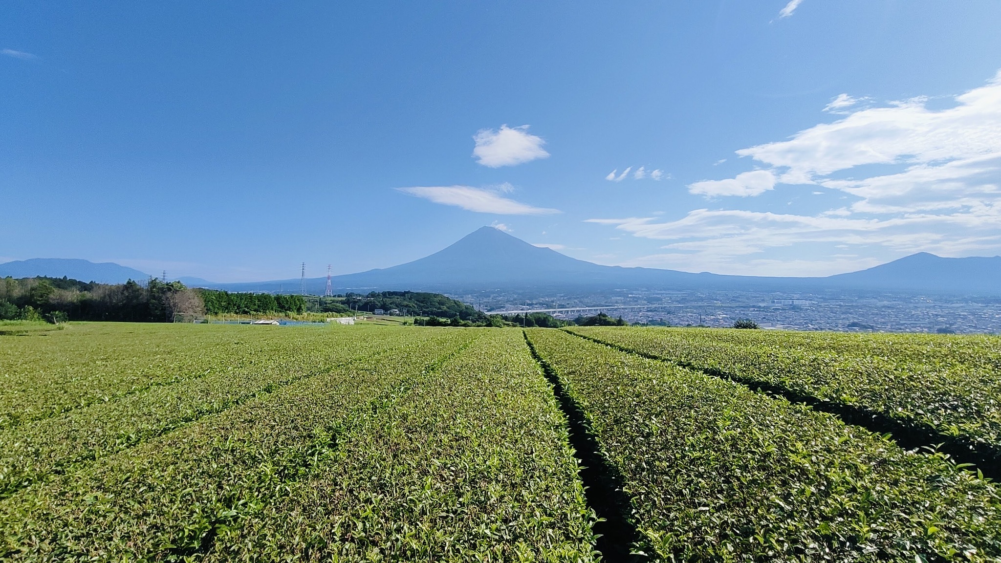 夏の富士山
