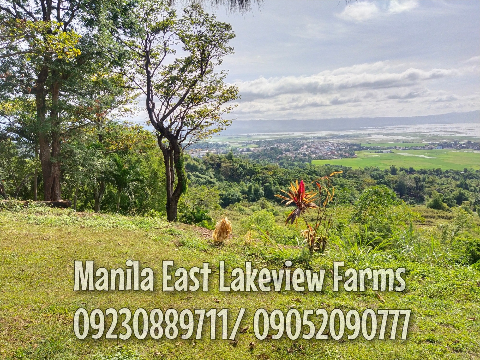Manila East Lakeview Farms Morong Rizal Farm Lots With Laguna Lake view ...