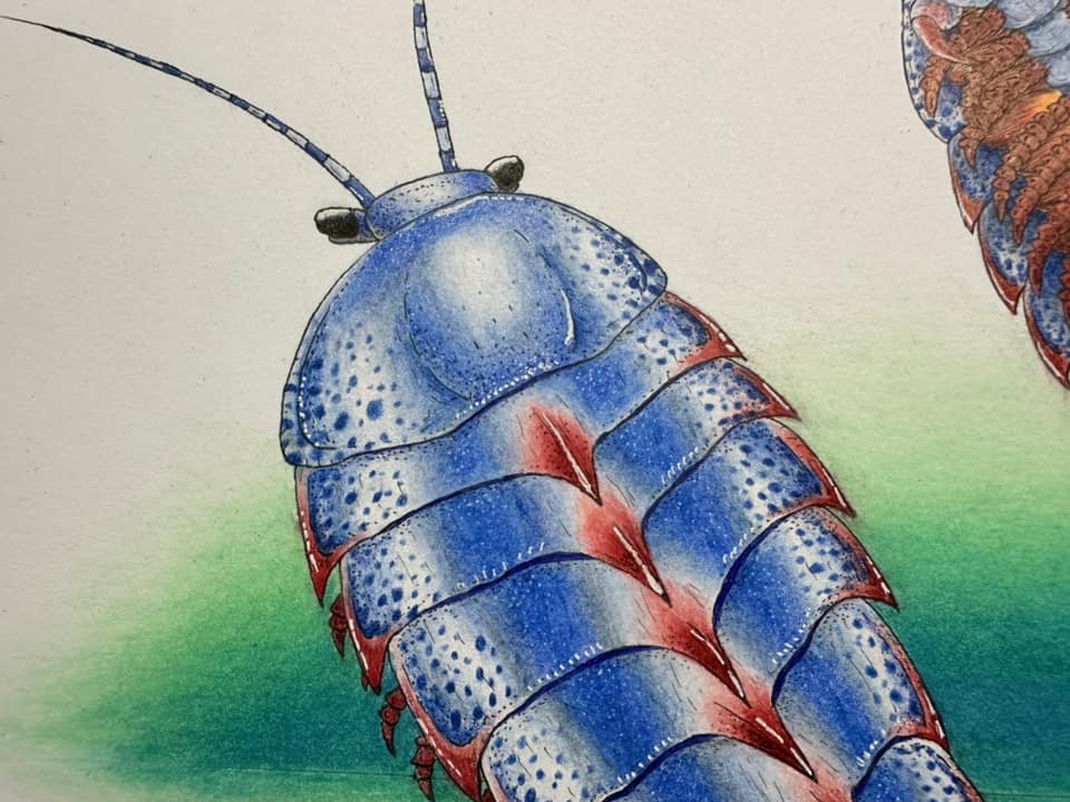 Guangweicaris spinatus, an early arthropod, in the Cambrian ocean