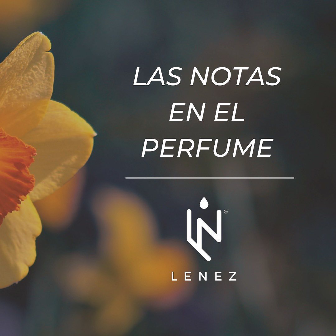 Lenez Mexico - Las notas de las fragancias son lo que hace...