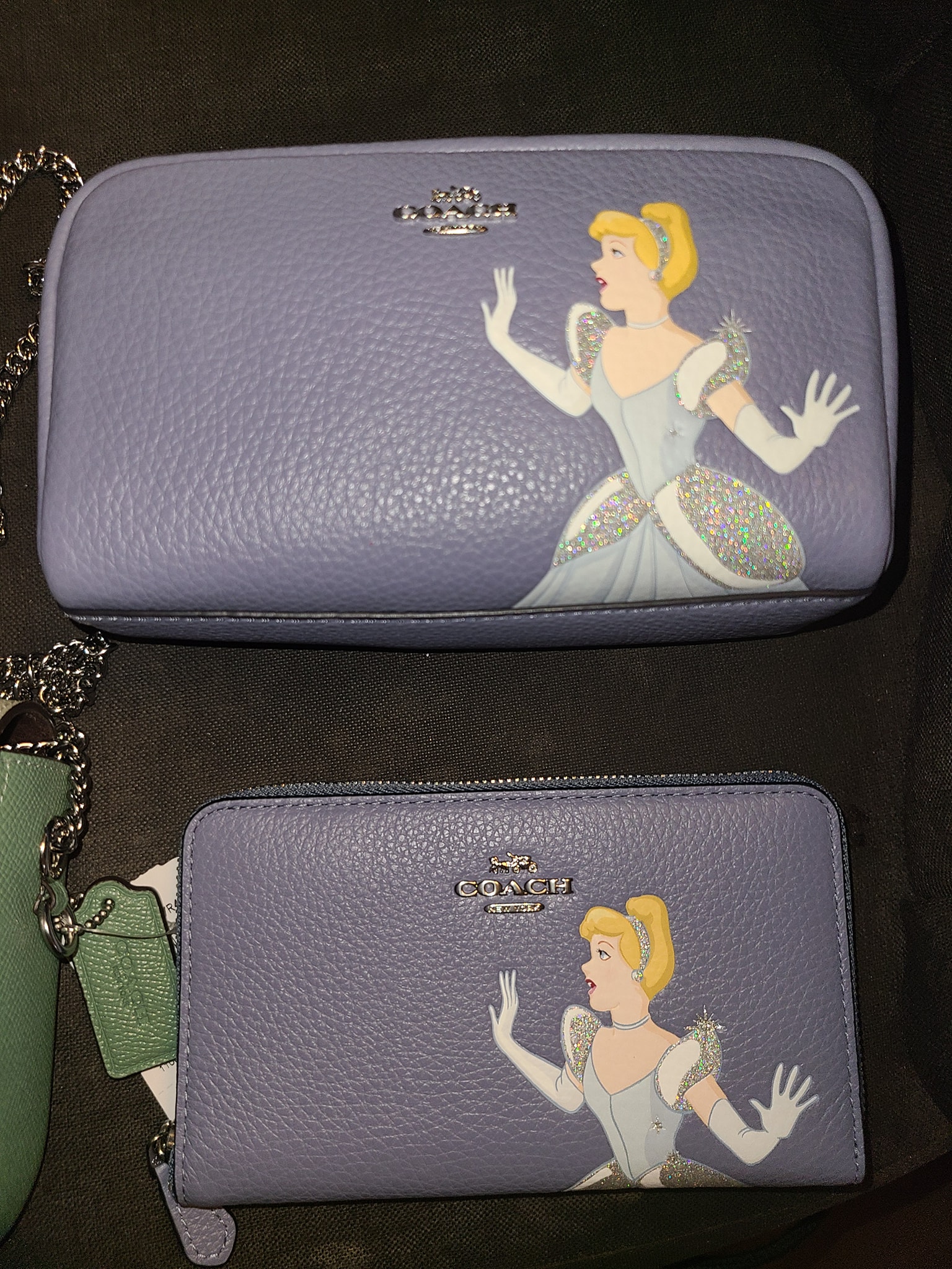 Cinderella Disney Coach Collab Disney Princess Collection Has 