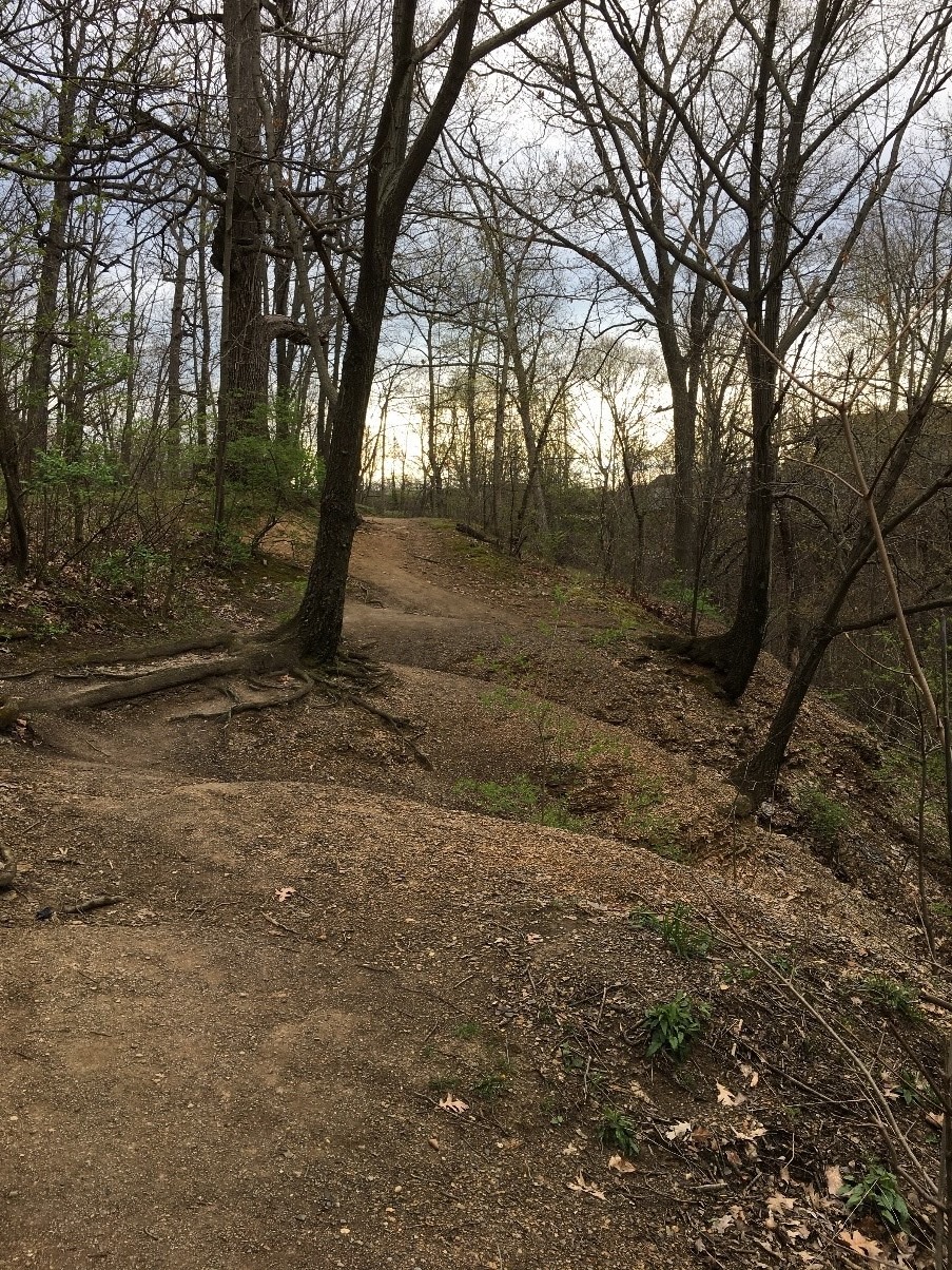 Ohio Ornithological Society - #HotspotHighlight GLEN ECHO PARK This ...