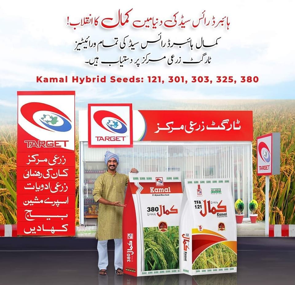 Target Ali akbar group 138/9l chock zafrabaad sahiwal | Facebook