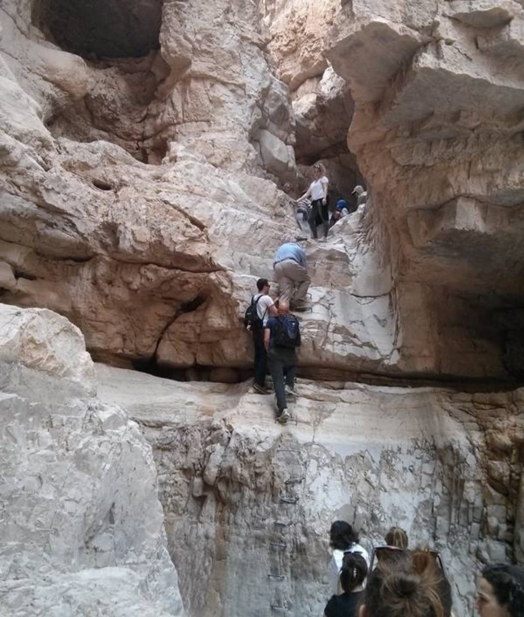 המלצה למסלול טיול לאחר סיום הסגר והפעם נחל אוג (ואדי אלמכלך) תחתון ...