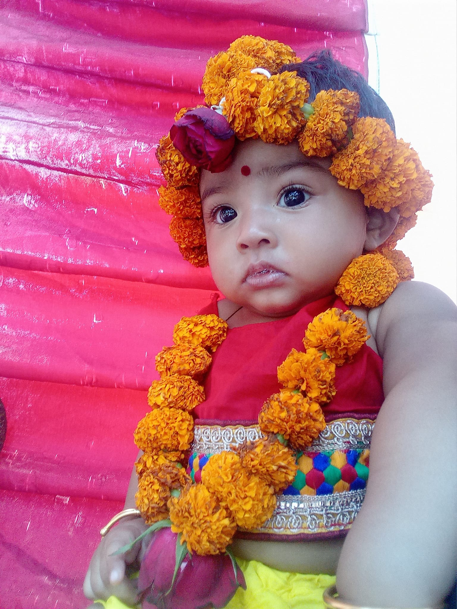 Himadri Biswas SHanto