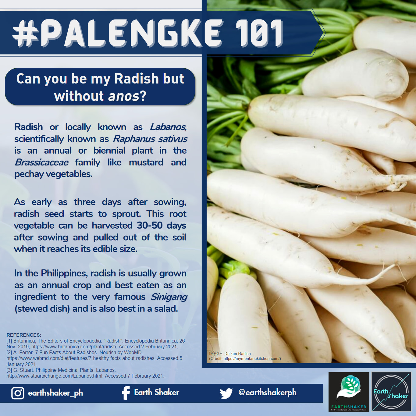 Earth - #Palengke101: Can you be my Radish but without the anos? This ...