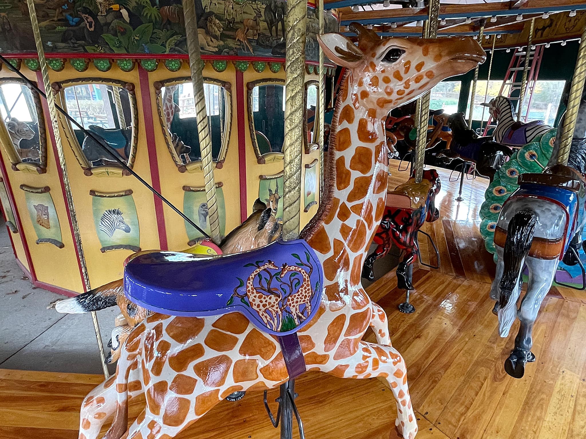 Carousel Relics - Baby Giraffe on the Kansas City Zoo... | Facebook