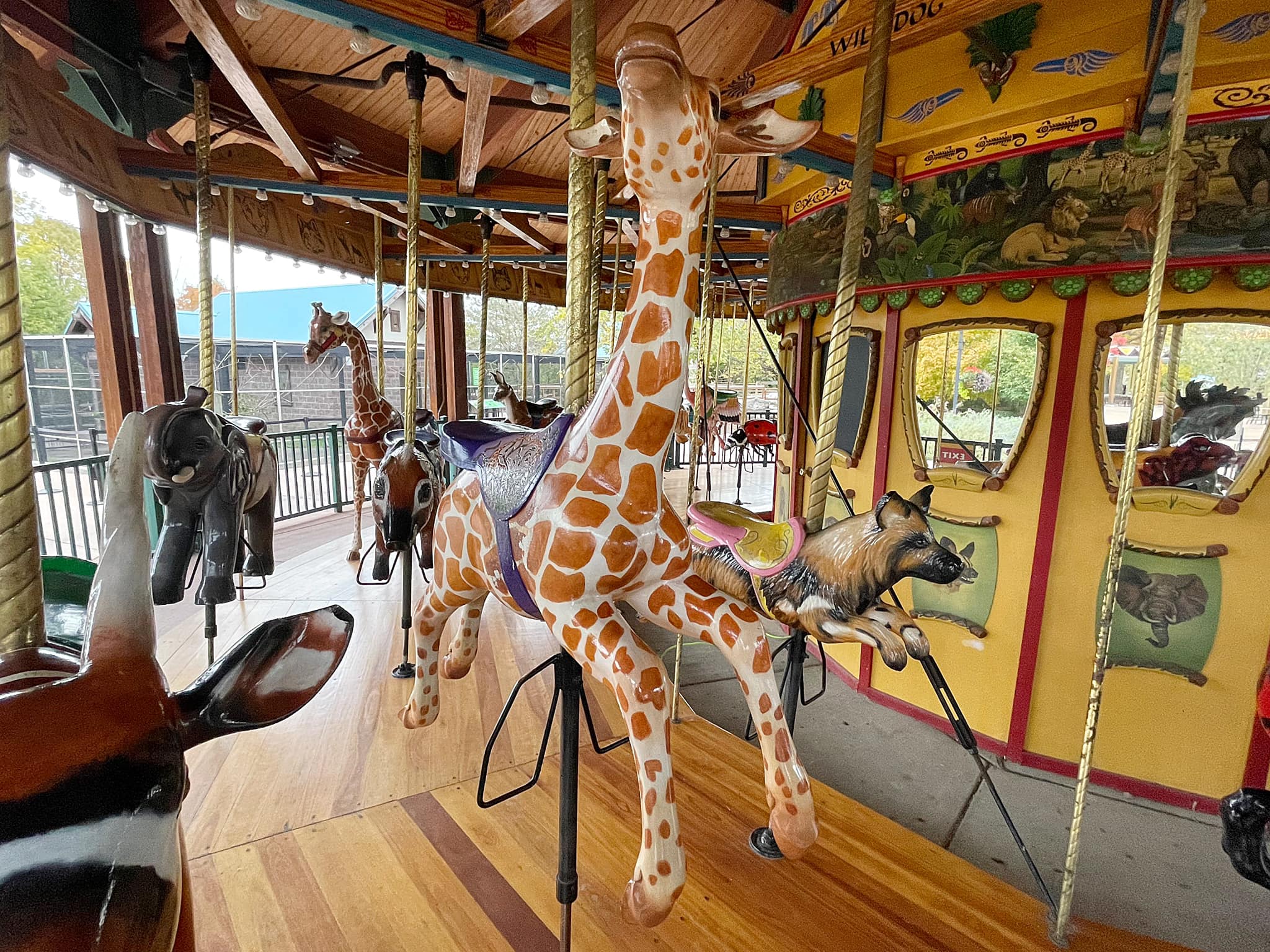Carousel Relics - Baby Giraffe on the Kansas City Zoo...