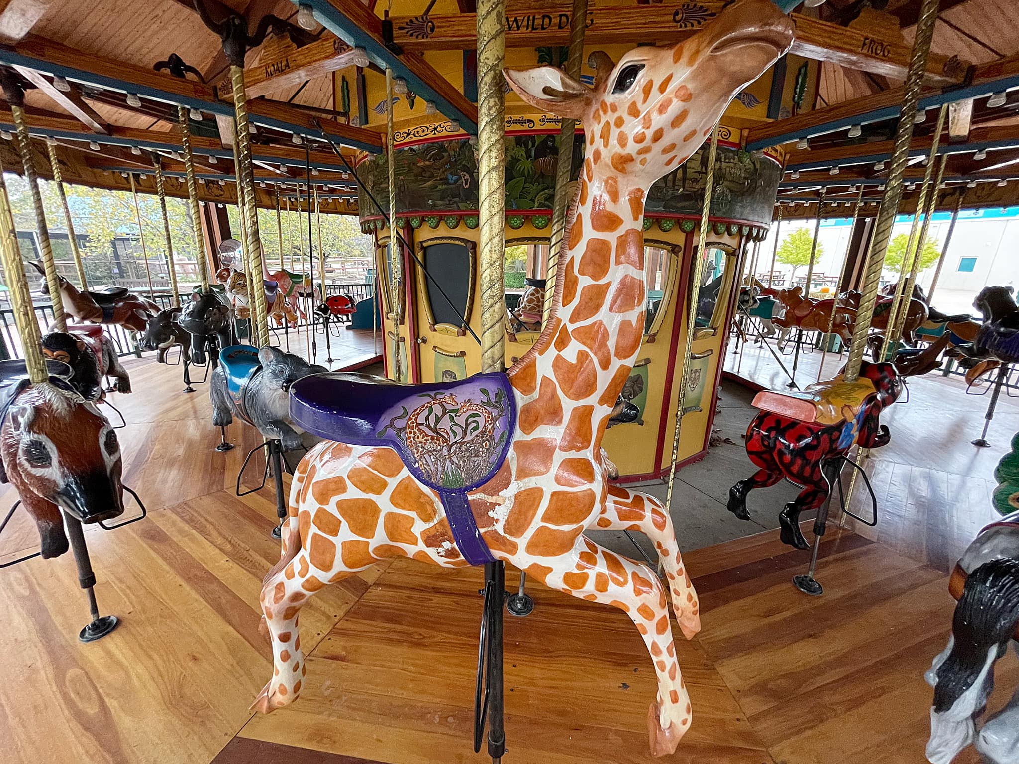 Carousel Relics - Baby Giraffe on the Kansas City Zoo...