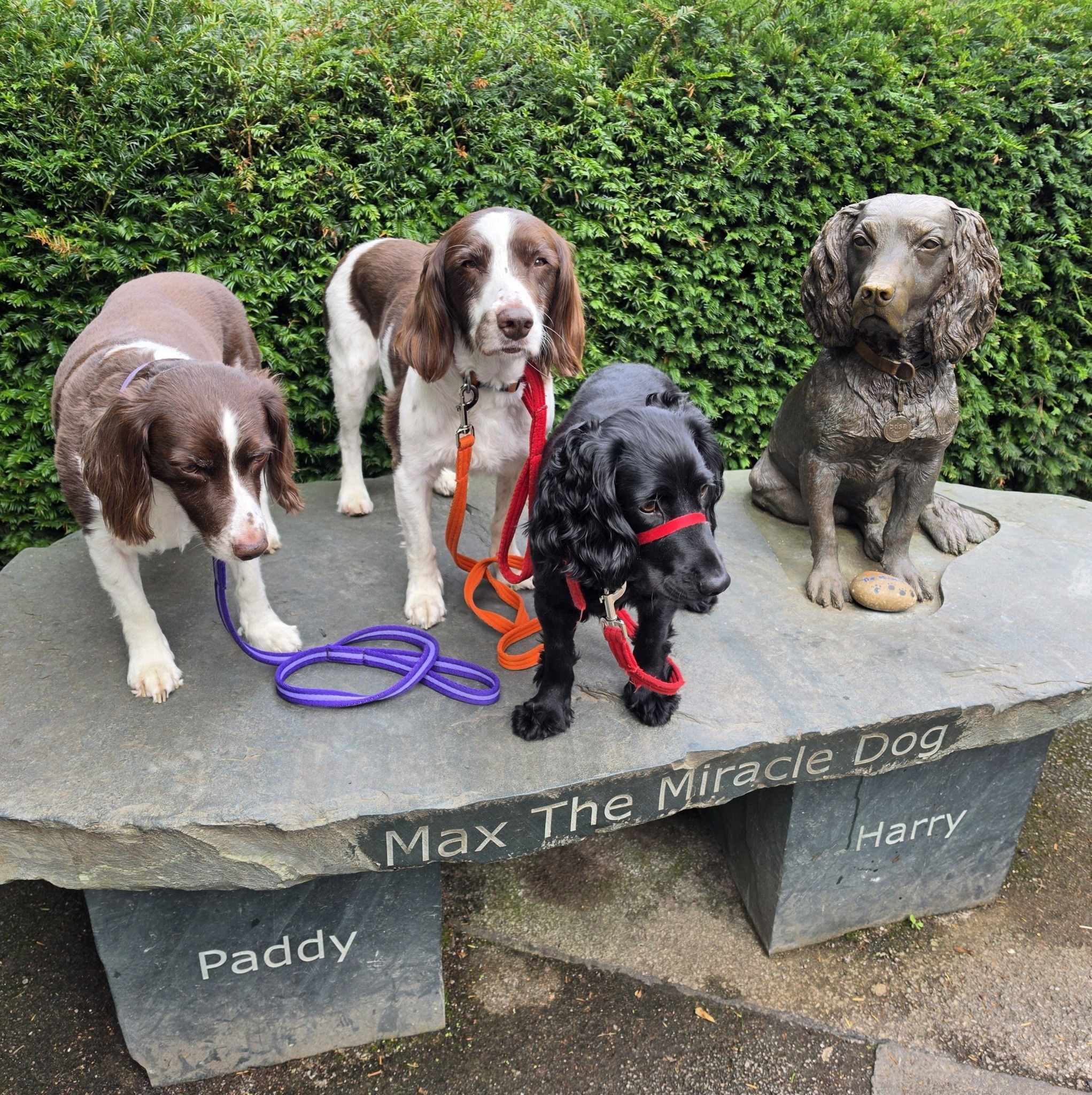 I love the Lake District! | Couple weeks ago we visited Max | Facebook