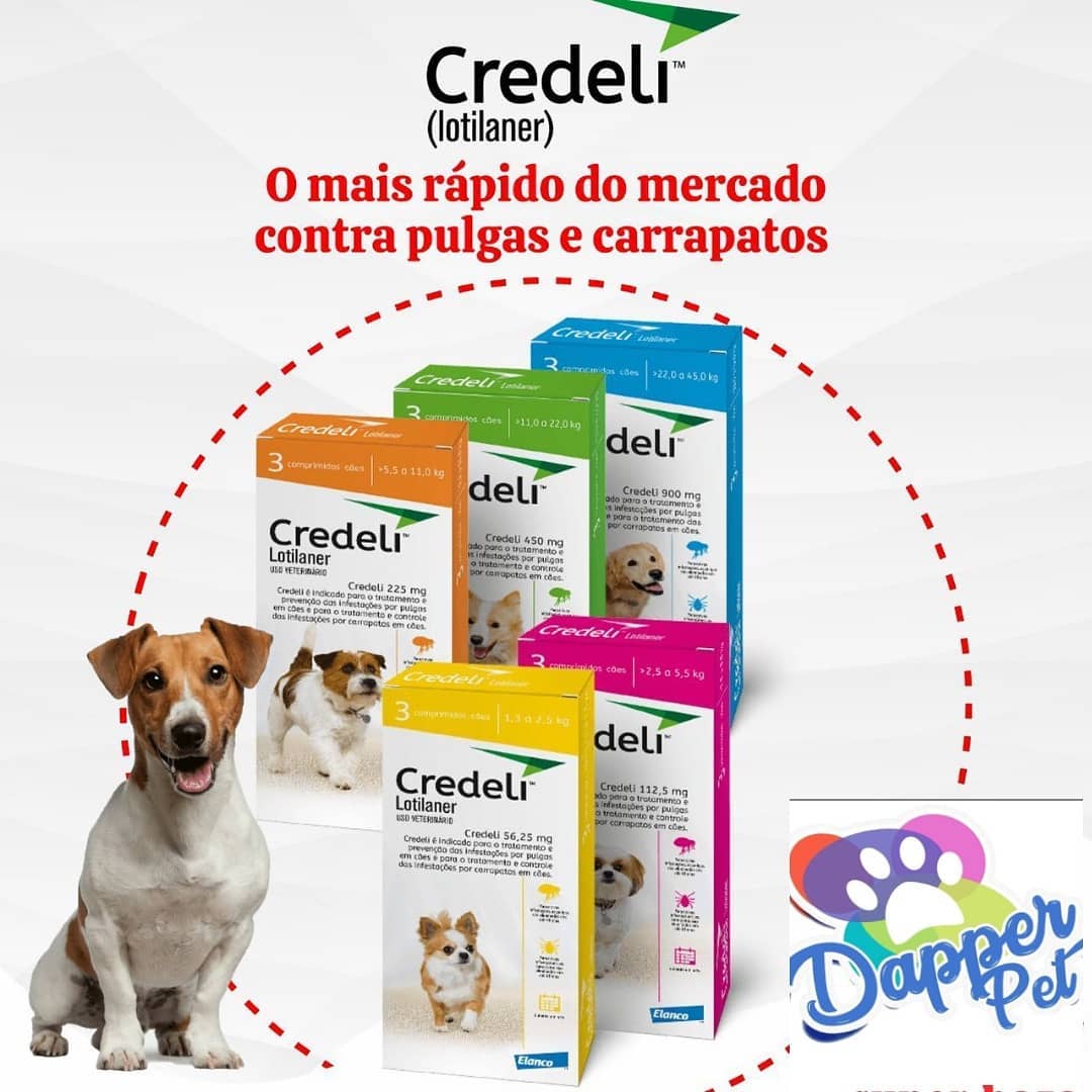 Dapper pet Fortaleza | Fortaleza CE