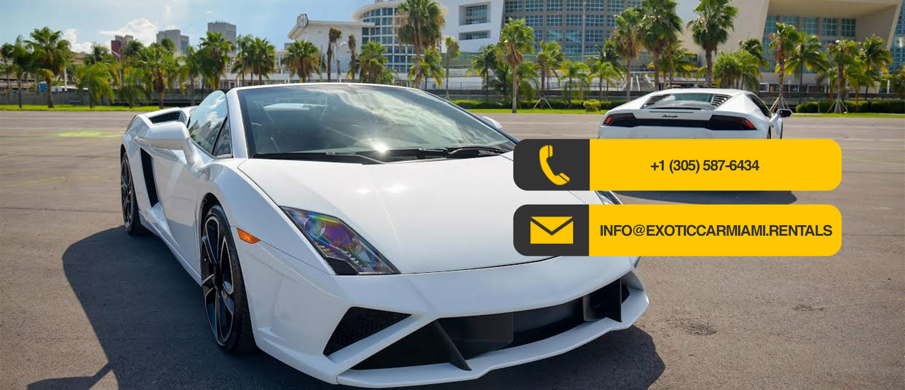 VIP Car rentals - VIP CAR RENTAL САМЫЕ ДЕШЕВЫЕ АВТОМОБИЛИ В МАЙАМИ!!!🚘 ...